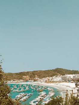 A tranquil marina with boats docked along a pristine coastline and lush hillside.