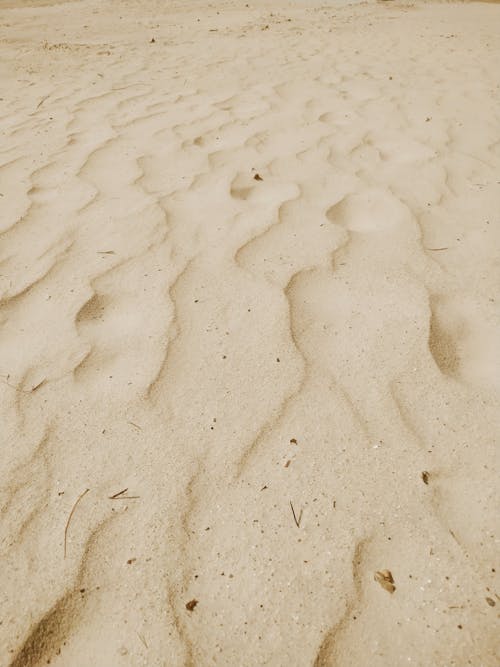 Imagine de stoc gratuită din a închide, brun, dune