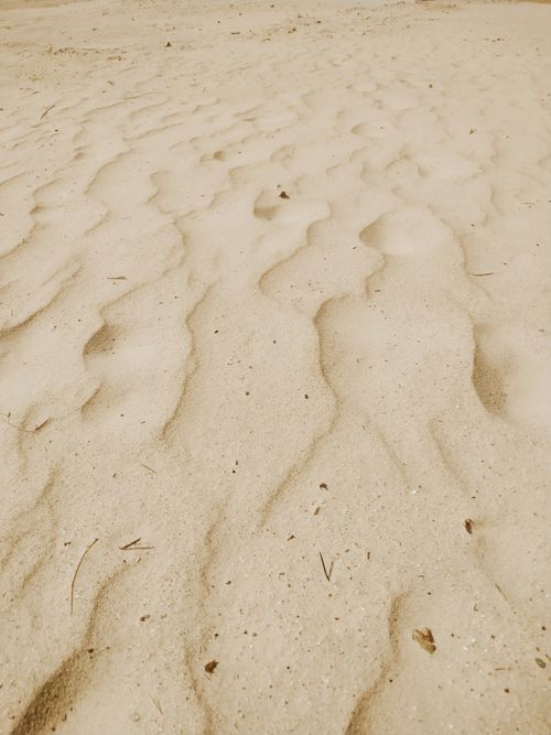 Free Close-up of natural sand dune patterns under sunlight, showcasing intricate textures. Stock Photo