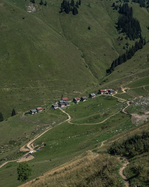 Immagine gratuita di campo d'erba, montagna, natura