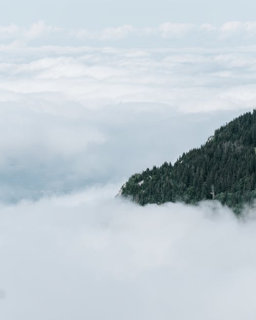 Green Trees on Mountain Under White Clouds