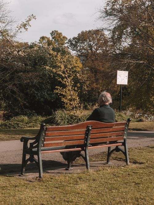 Free A peaceful scene of an elderly man sitting alone on a park bench amidst lush trees, capturing solitude and reflection. Stock Photo