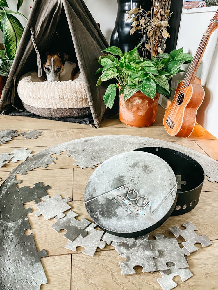 Moon Jigsaw Puzzle On Table