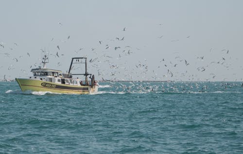 Darmowe zdjęcie z galerii z kuter rybacki, latanie, łódź