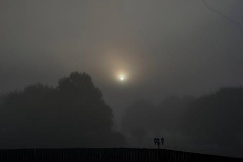 Free stock photo of early sunrise, foggy morning