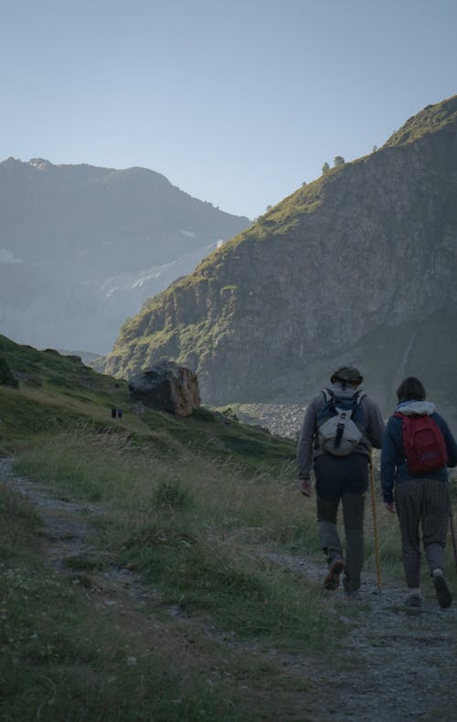 Foto d'estoc gratuïta de aventurers, caminant, cobert de gespa