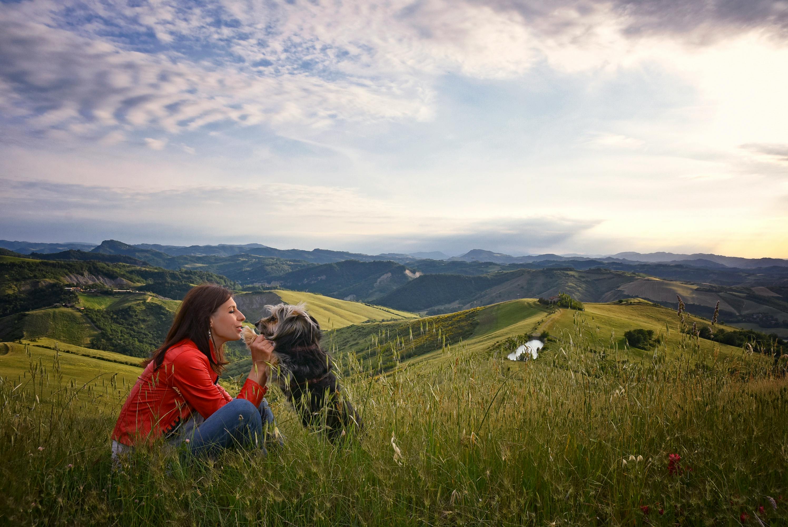 HILL'S PET NUTRITION INTRODUCES INNOVATION TO SUPPORT FELINE MOBILITY AND WEIGHT MANAGEMENT — Photo by Aneta Malinowska on Pe