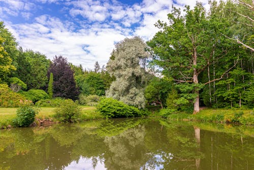 A Body of Water in a Picturesque Environment