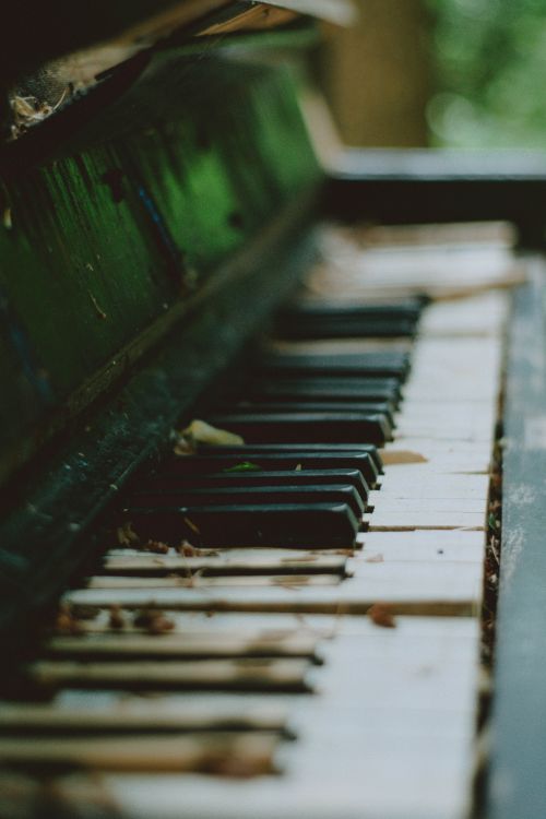 Free A close-up look at old, weathered piano keys surrounded by nature. Stock Photo