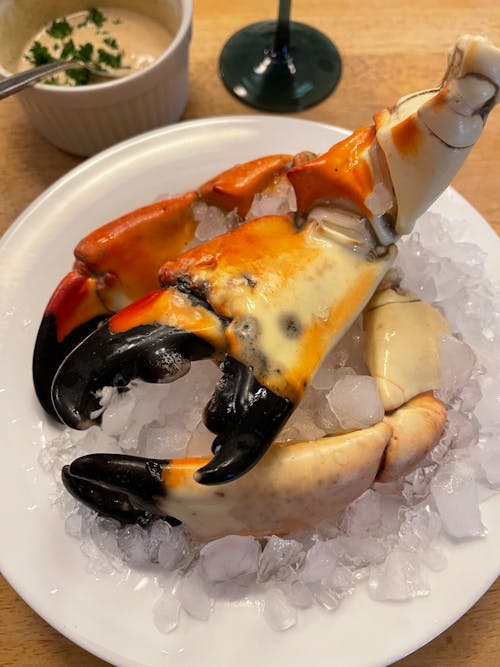 Free stock photo of seafood, stone crab Stock Photo