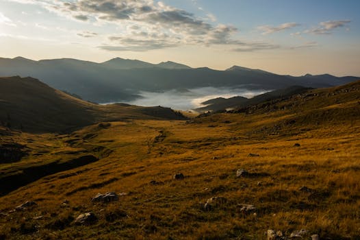 日出时，山谷云雾缭绕，绿草如茵，岩石散落，景色令人惊叹