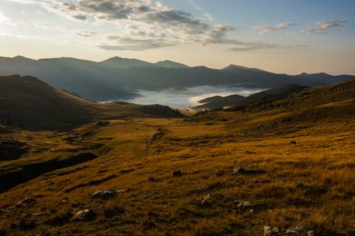 Free Breathtaking view of a misty mountain valley during sunrise with lush grass and scattered rocks. Stock Photo