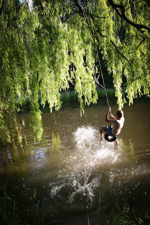 Free stock photo of new zealand, summer, swimming