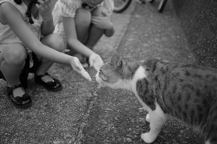 Black And White Photo Of Kids Playing With A Cat