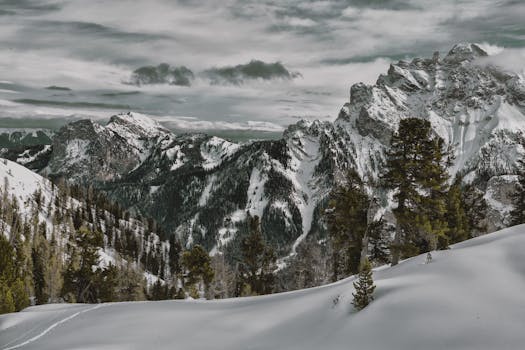 冬季山景令人惊叹，有雪、树木和戏剧性的天空