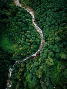 Stunning aerial shot of a river winding through lush, green forest.