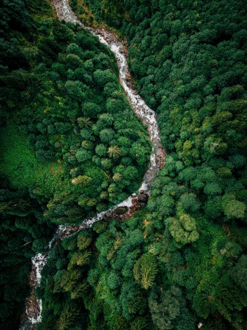 Stunning aerial shot of a river winding through lush, green forest.