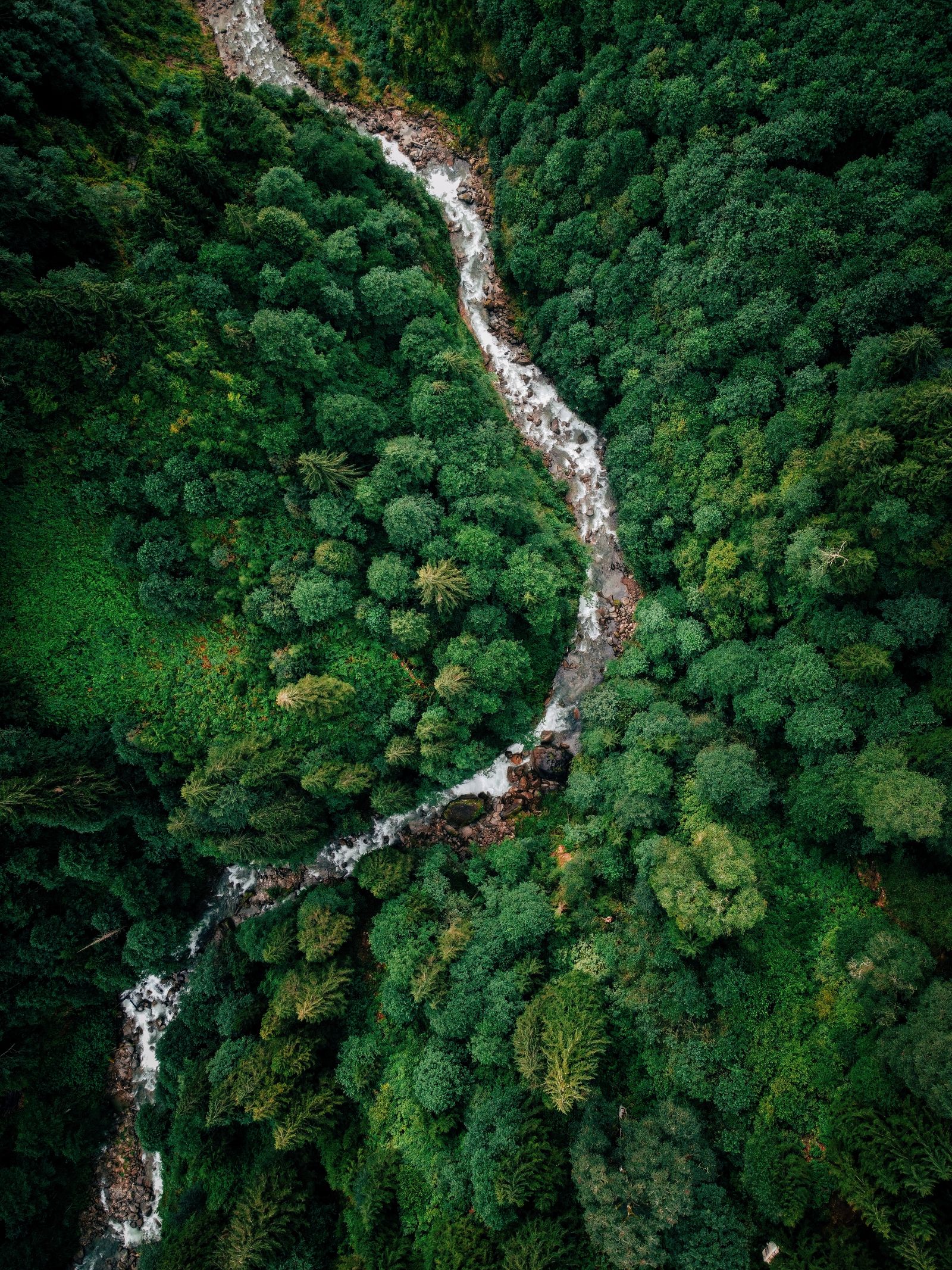 Ecosystems