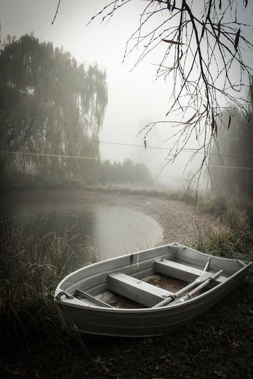 Free stock photo of boat, misty, new zealand