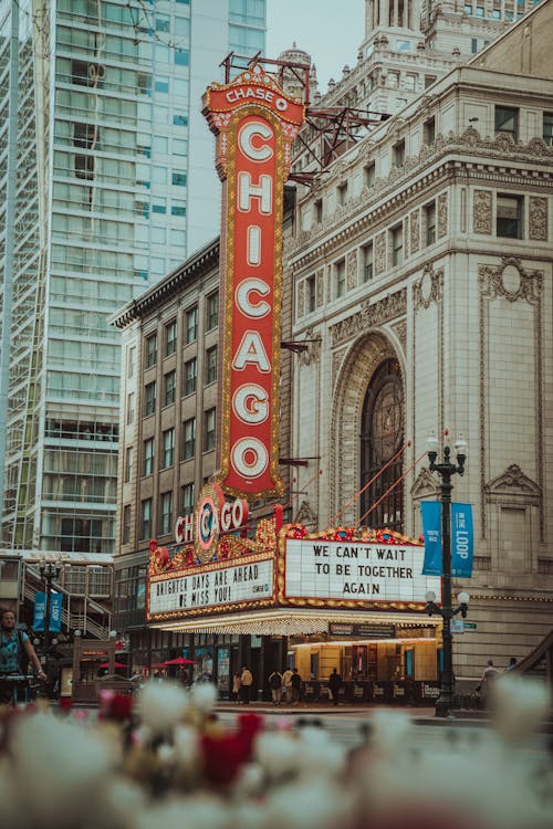 Základová fotografie zdarma na téma červená, chicago, den
