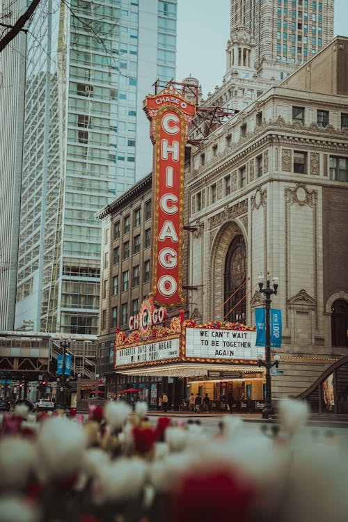 Ingyenes stockfotó bizakodó, Chicago, épülethomlokzat témában