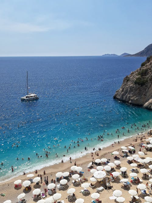 Aerial View of People on the Beach