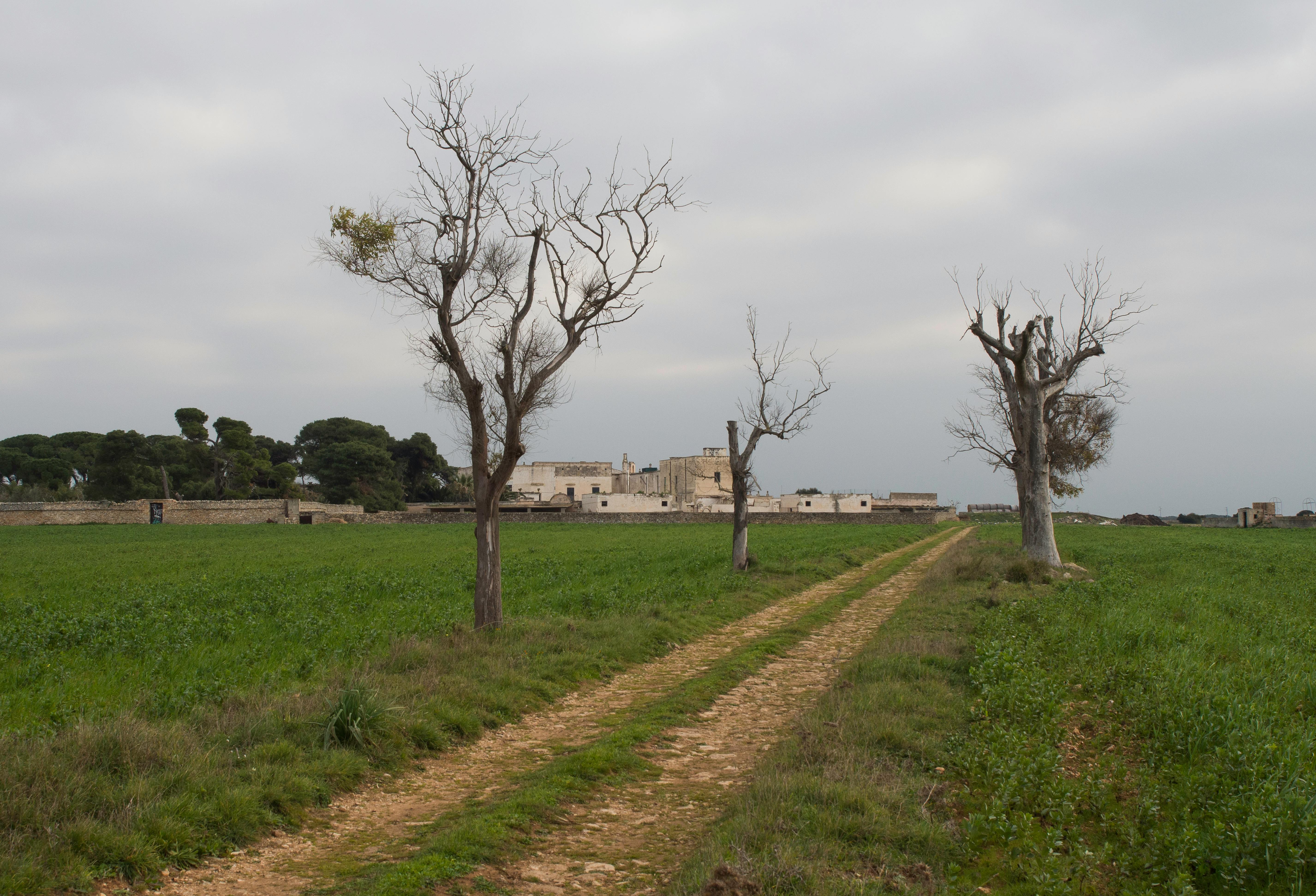Gravina in Puglia