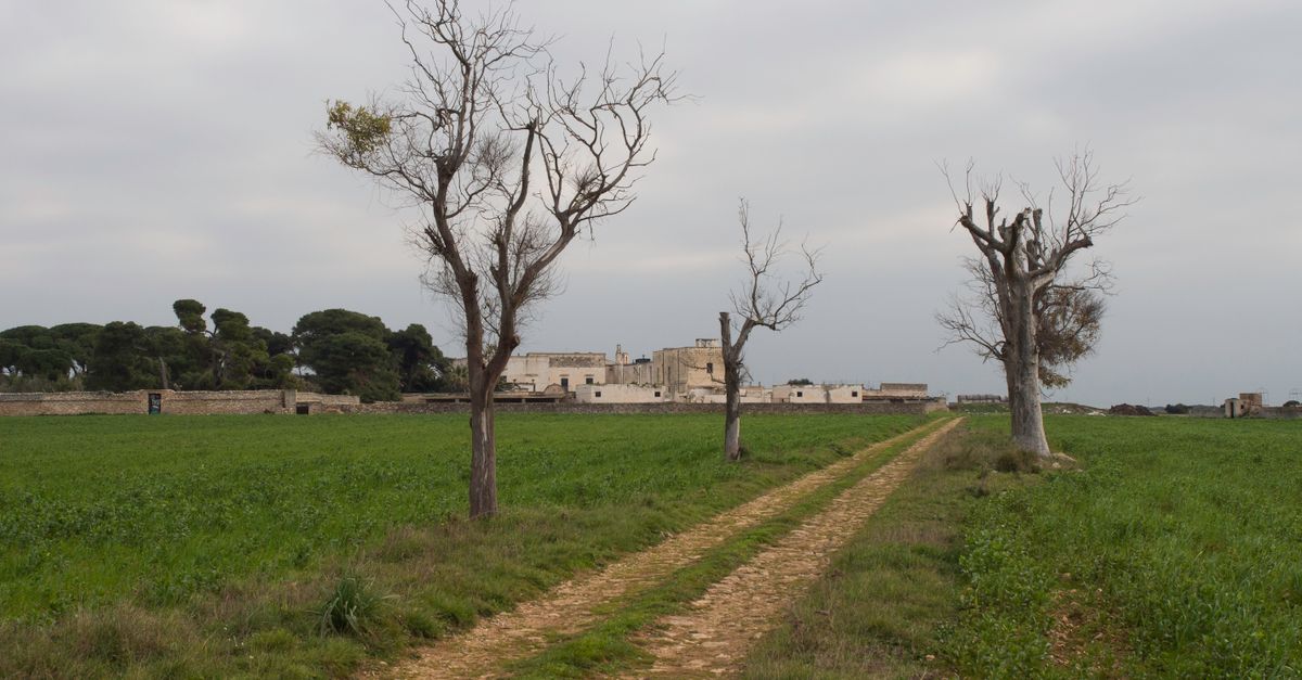 Gravina in Puglia