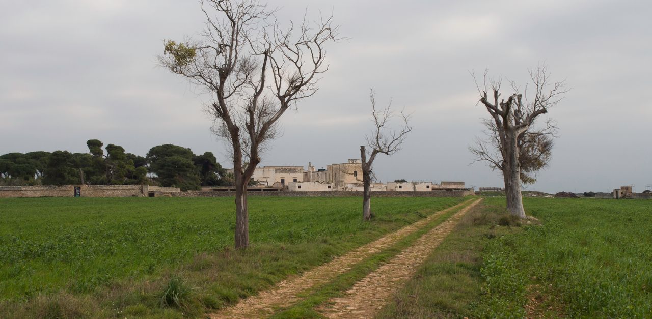 Gravina in Puglia