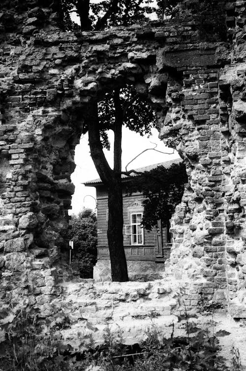 Gratis stockfoto met bakstenen muur, beschadigde, eenkleurig