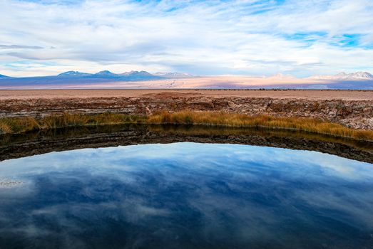 Laguna Cejar salt-lake float — Atacama Desert
