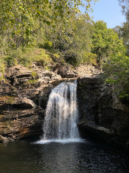 Scenic View of a Waterfall in the Forest