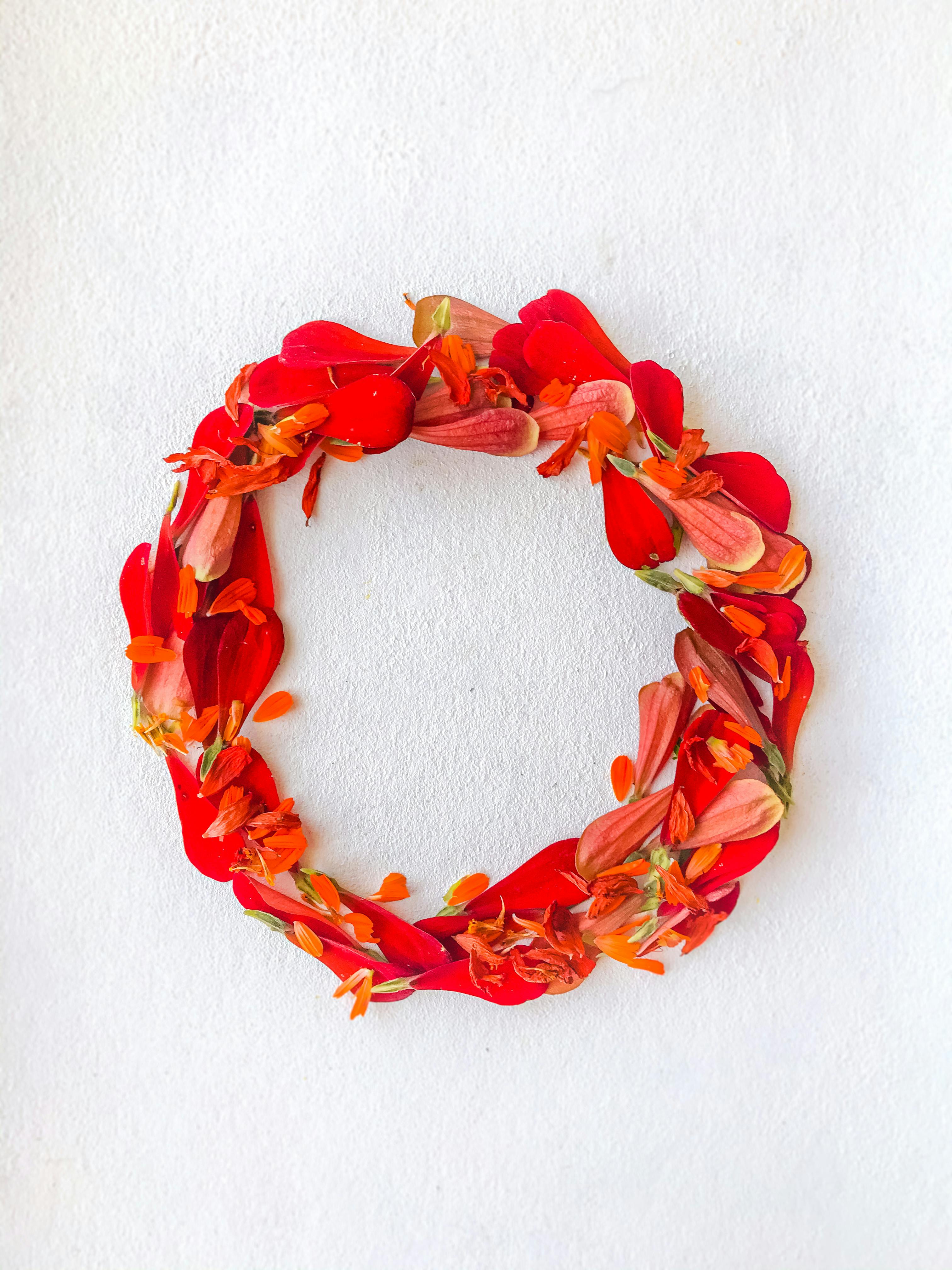 Bright red flower petal wreath on a clean white backdrop, showcasing vibrant color contrast.