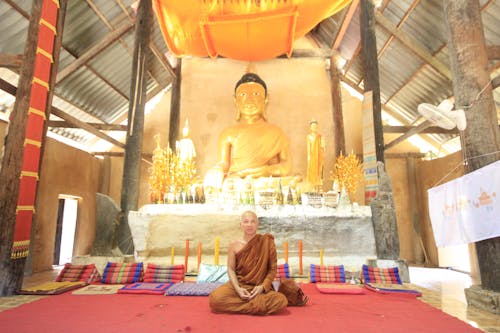 Fotobanka s bezplatnými fotkami na tému ázijský, Buddha, budhista