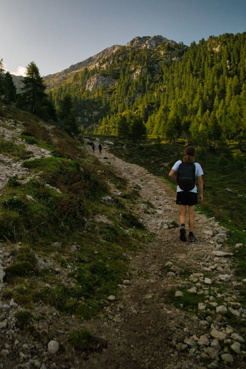 A Man Walking on the Path