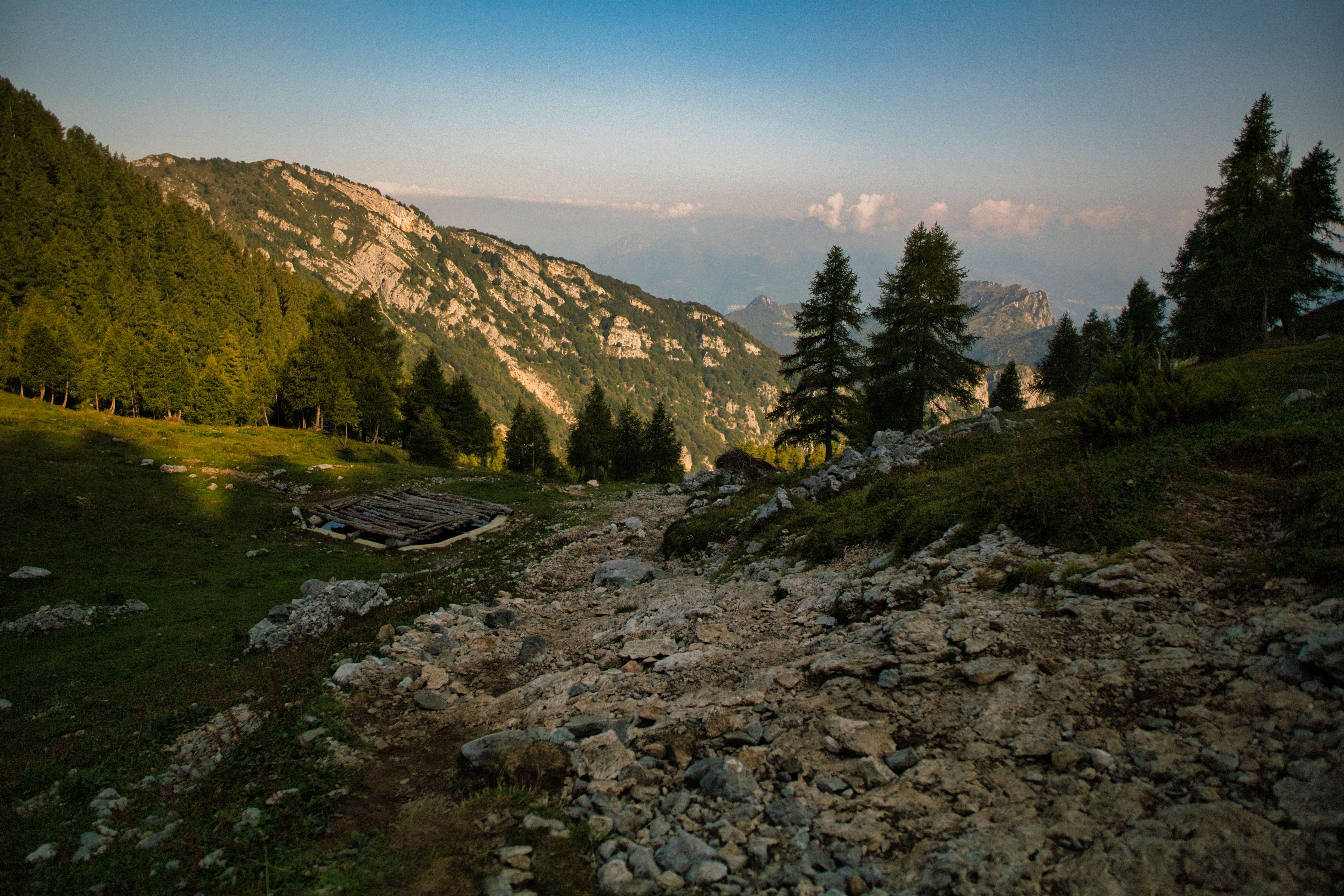 Green Trees and Mountains under the Blue Sky · Free Stock Photo