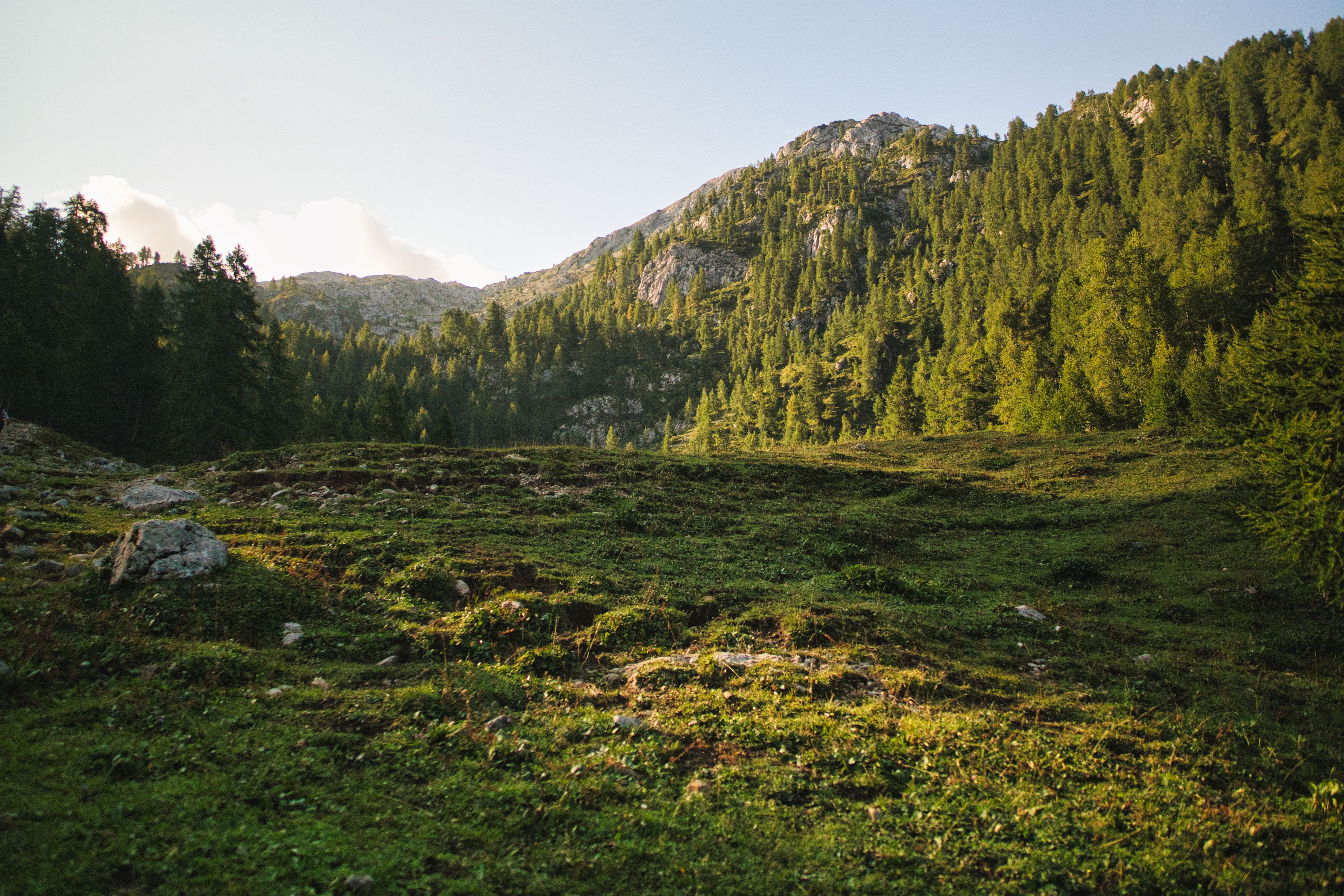 The high country at first light