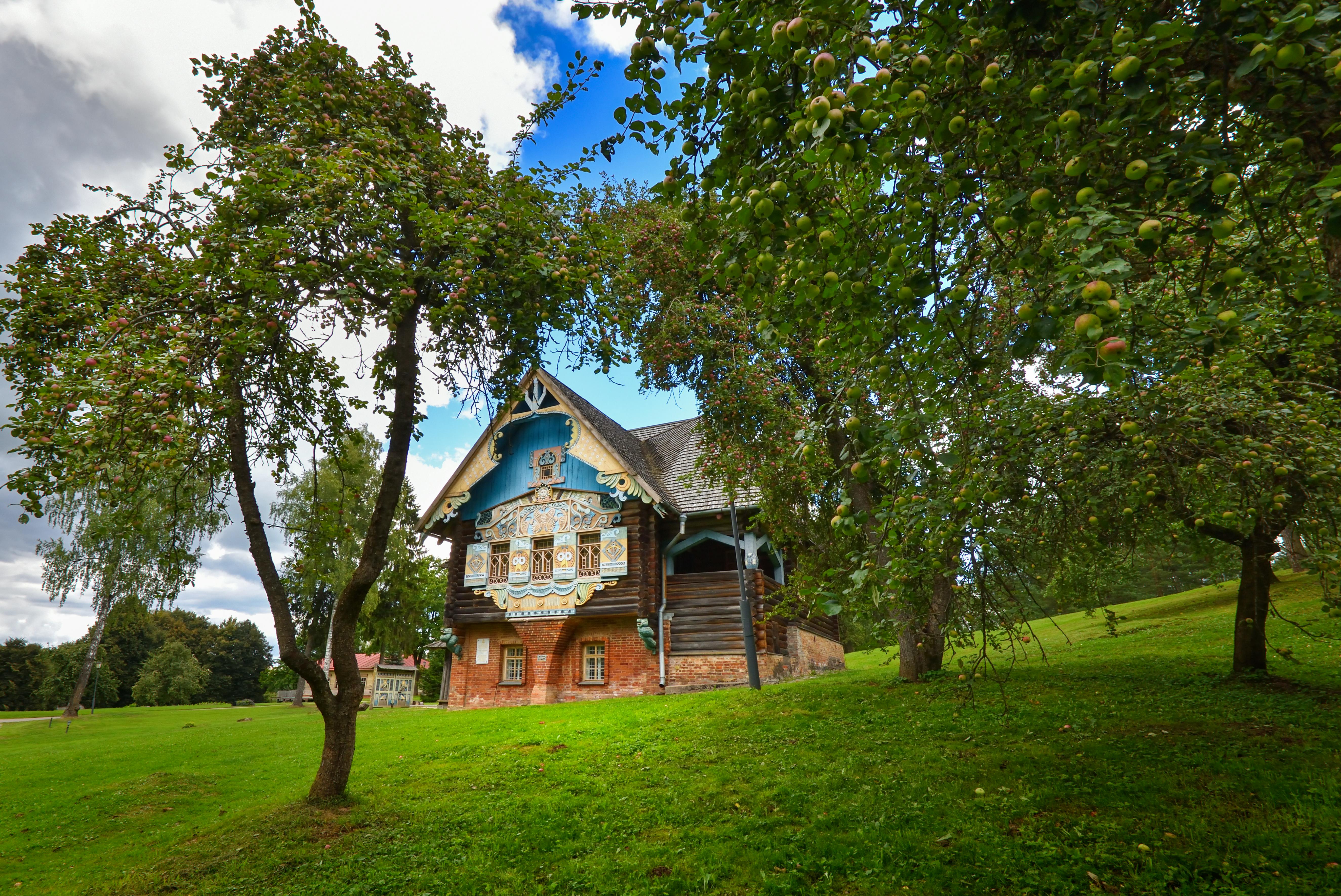 Городской и сельский пейзаж