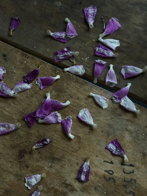 Purple Petals on a Wooden Surface