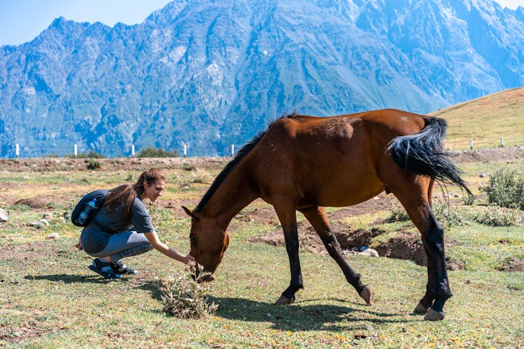 Woman Feeding A Horse