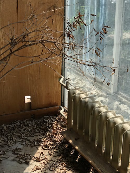 Foto stok gratis berantakan, cabang, dalam ruangan