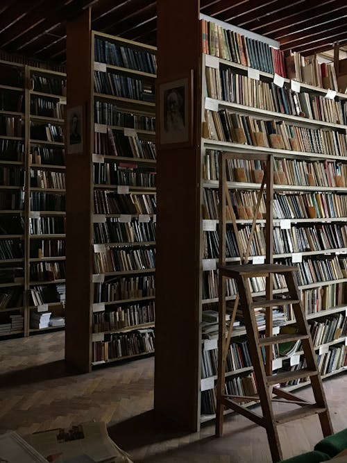 Brown Wooden Book Shelves in the Room