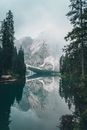 Trees Beside a Lake Near the Mountain