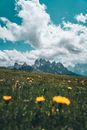 Yellow Flower Field Near Mountain Under White Clouds