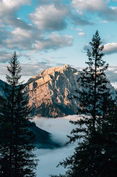Stunning view of a mountain peak and clouds framed by silhouetted trees.
