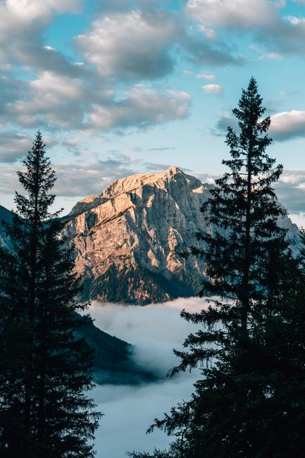 Stunning view of a mountain peak and clouds framed by silhouetted trees.