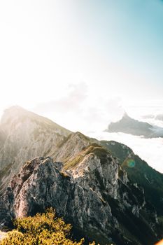 A stunning view of sunlit mountain peaks rising above the clouds, capturing the essence of nature's beauty.