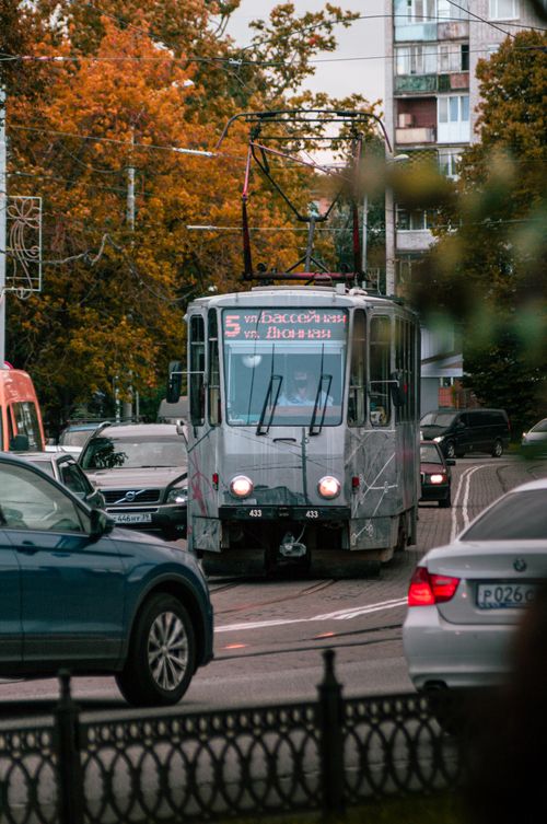 Free A tram navigates the bustling streets of Kaliningrad, Russia, lined with cars and autumn trees. Stock Photo