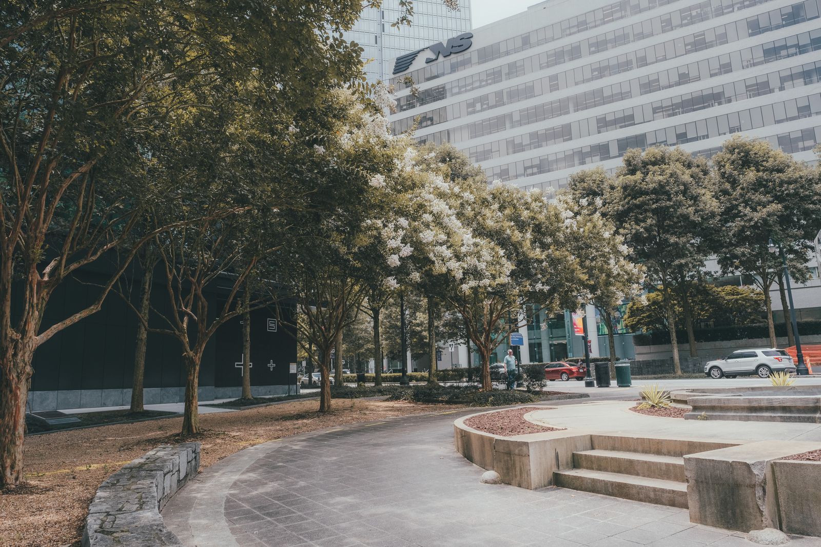 Tall trees along a path inside a city park