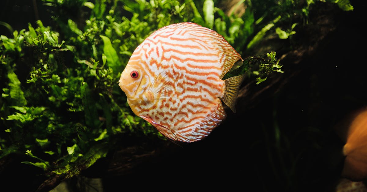 What's Changing in Lake Fishing and Why It Matters